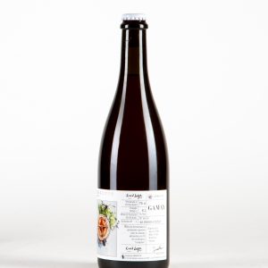 Vinifera Gamay II Brasserie Ammonite