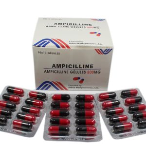 Ampicilline