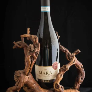 Valpolicella Ripasso Superiore Mara 2017 (75cl – 13,5%)