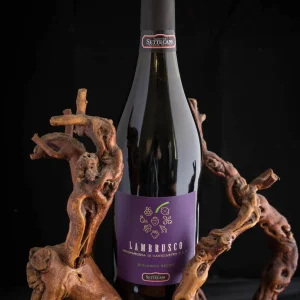Lambrusco Grasparossa di Castelvetro BIO (75cl – 11%)