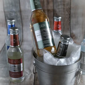 Boisson pétillante au Gingembre (200ml)