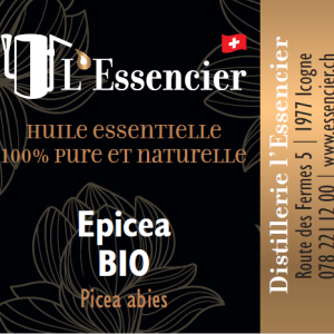 Huile essentielle d’Epicéa
