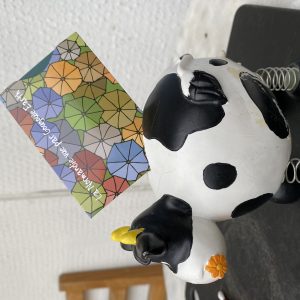 Protège Carte Bancaire – Heula