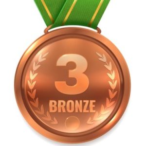 Online SHOP – Souscription Bronze / 0 a 100 Articles