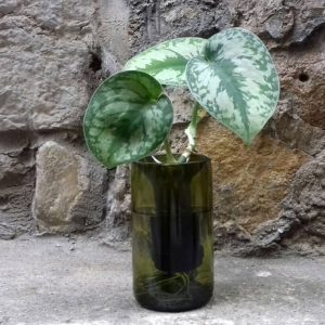 Fabriquez 6 verres upcyclés dans un atelier verrerie