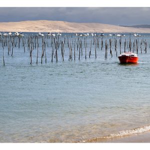Carte postale – La Dune du Pyla – Bassin d&rsquo;Arcachon