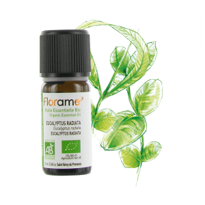 Huile essentielle d&rsquo;Eucalyptus Radiata 10ml