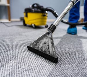 Service professionnel de Nettoyage Moquette & Tapis / m2