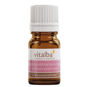 Eucalyptus polybacter à cryptone huile essentielle bio 10 ml