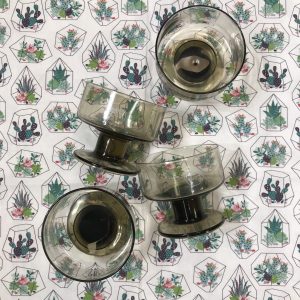 Lot de 4 verres fumés Pégase