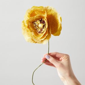 Ice Poppy Ochre